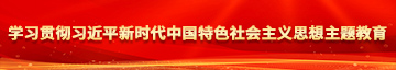 尻骚屄的视频在线观看学习贯彻习近平新时代中国特色社会主义思想主题教育